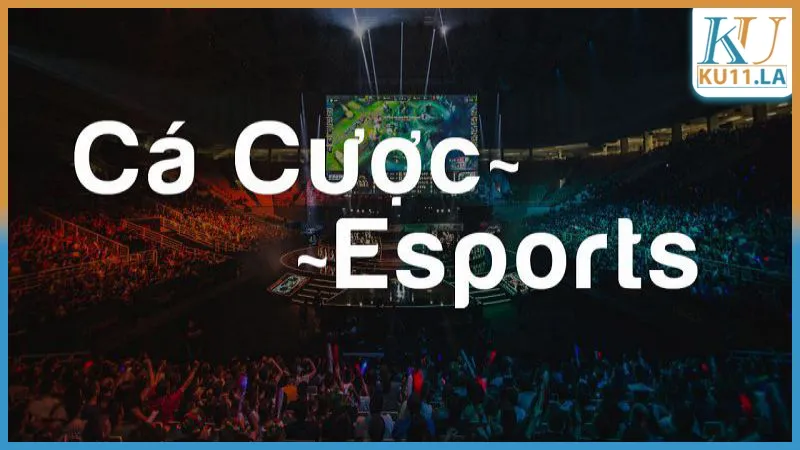 Một số thuật ngữ cá độ E-Sport trong kèo cược