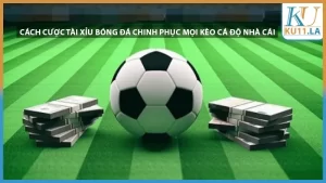 cách cược tài xỉu bóng đá